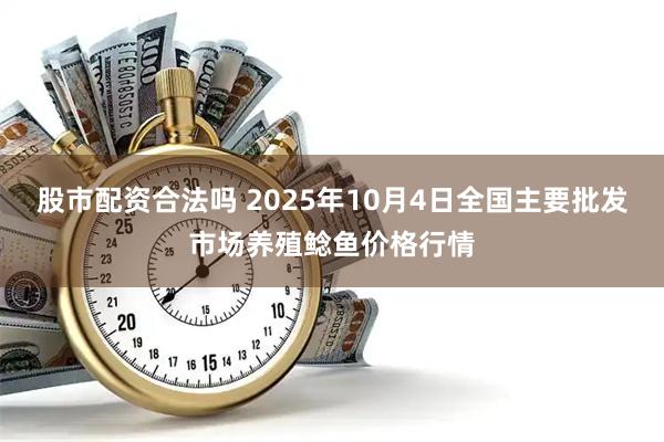 股市配资合法吗 2025年10月4日全国主要批发市场养殖鲶鱼价格行情