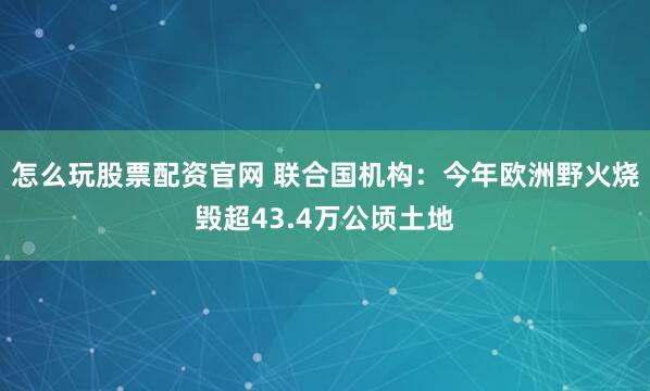 怎么玩股票配资官网 联合国机构：今年欧洲野火烧毁超43.4万公顷土地